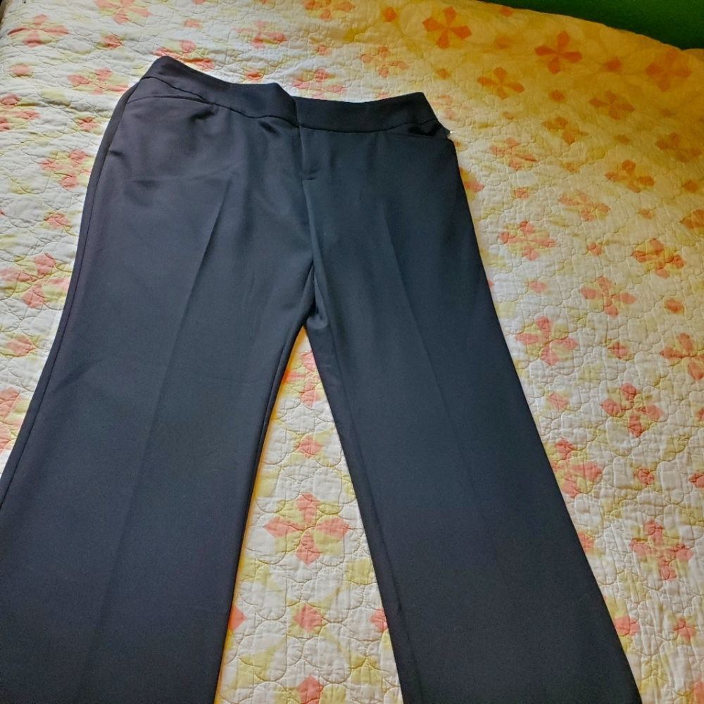 Daisy Fuentes Straight Leg Pants